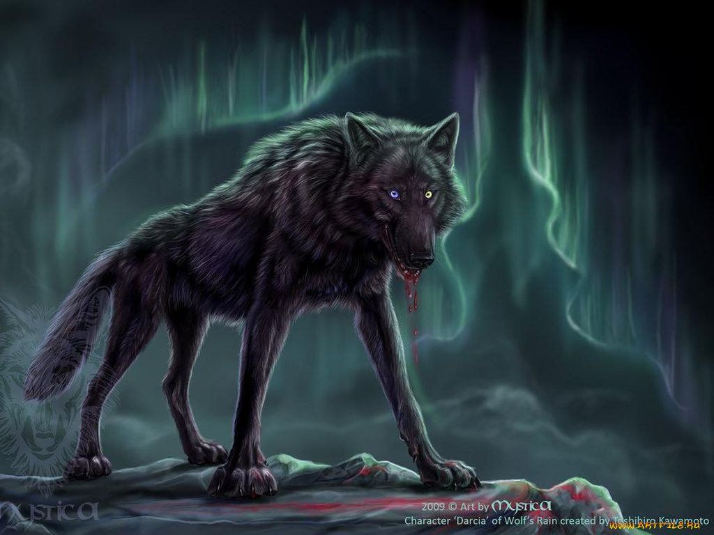 Книга волк оборотень. Волчий дождь Дарсия волк. Волчий дождь Дарсия. Волк фэнтези.